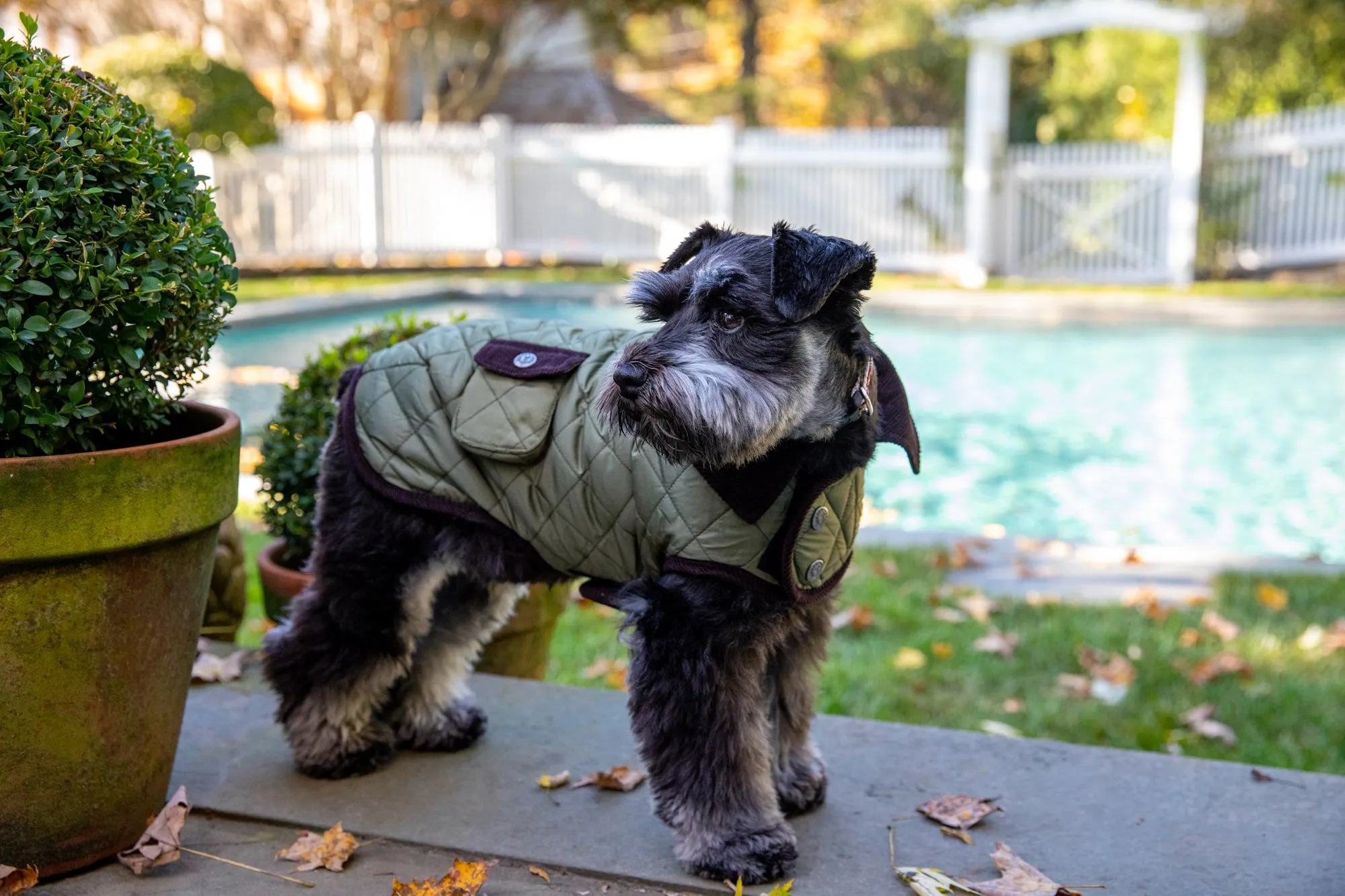 Barn Coat w/Brown Corduroy Collar - 6 Color Options