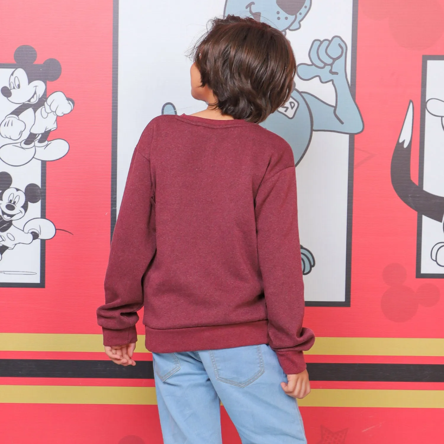 Boys Character Sweatshirt - MAROON