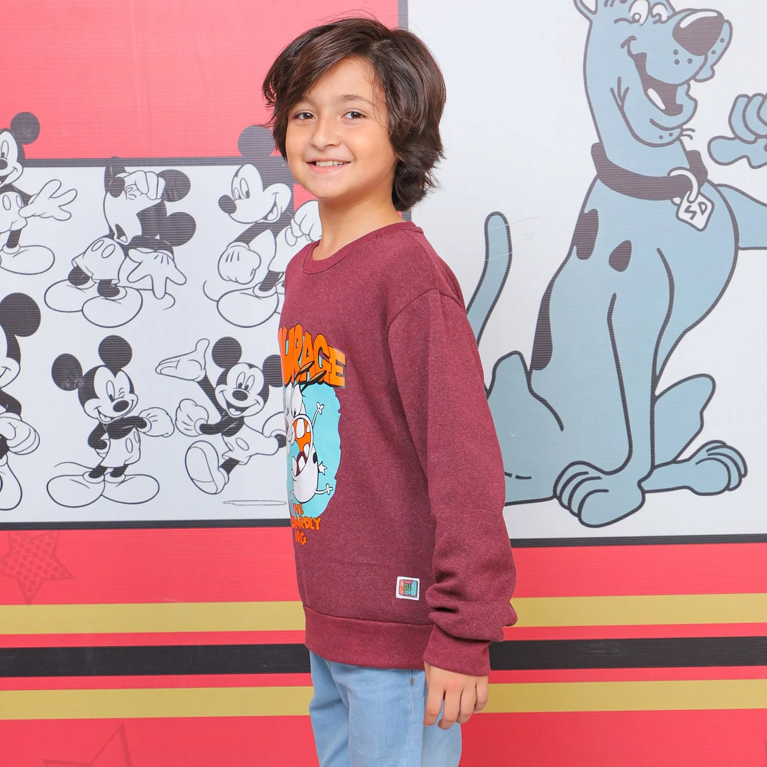 Boys Character Sweatshirt - MAROON